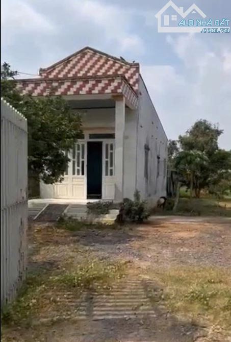 Nhà Vườn MT Đ. Phạm Thị Chanh, Xã Phước Hiệp, Củ Chi - Ngôi Nhà Lý Tưởng Để Nghỉ Dưỡng - 3