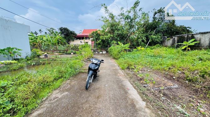 HẠ GIÁ HƠN 100TR LÔ ĐẤT 60M2 NGANG 4,7M TẠI LƯƠNG QUI, AN DƯƠNG, HP. - 3