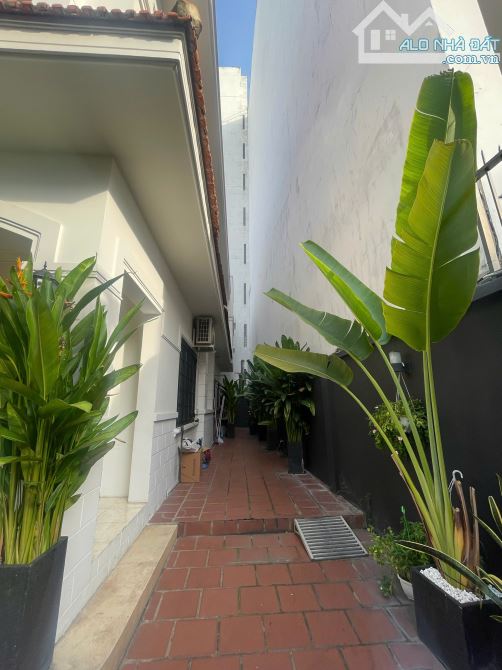 Biệt Thự Sân Vườn 240m2 giữa trung tâm Quận 10, 11x22, 3 tầng, chỉ 40 tỷ - 3