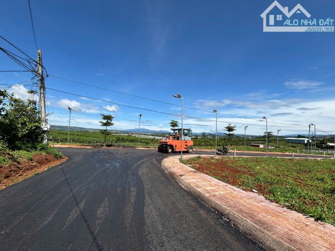 Sở hữu ngay lô đất 246m² tại Làng Thanh Bình- L.Đồng Đông Nam thoáng mát, pháp lý chuẩn - 3