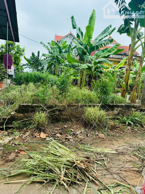 BÁN ĐẤT QUÁN TRẠCH - VĂN GIANG - HƯNG YÊN 50M - Ô TÔ  - GIÁ HƠN 1 TỶ - 3