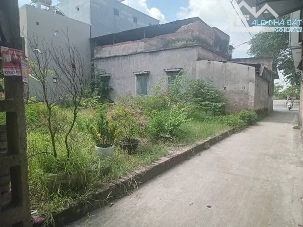 Mảnh đất thư lâm 4,2x tỷ 10m ra view hồ 15m ra đường 7m ô tô đã trải nhựa - 3