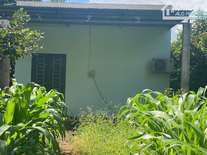bán lô đất có sẵn nhà cấp 4,có săn 100m2 thổ cư vơi 1113m2 chỉ vơi giá 1,3 tỷ - 3
