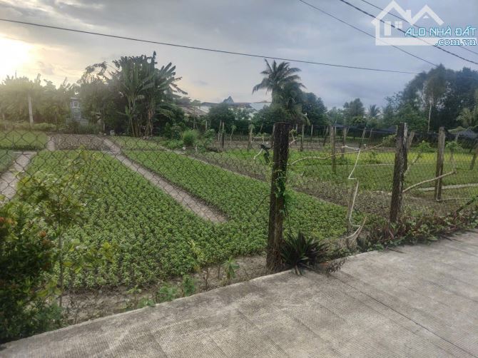 Phước Hậu Cần Giuộc 500m đất vườn phủ hồng  đường xe hơi tới đất chỉ 1tỷ3 - 10