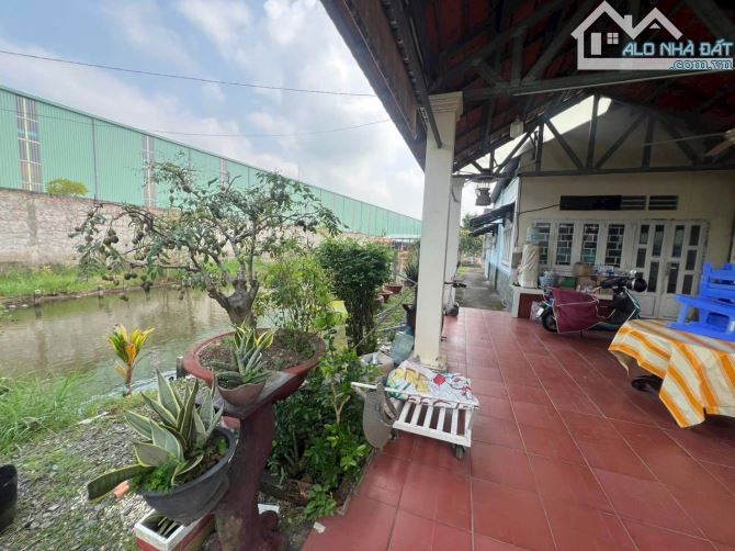 biệt thự mặt tiền DT826, xã Mỹ Lệ, Cần Đước  3000m2 có thổ cư - 4