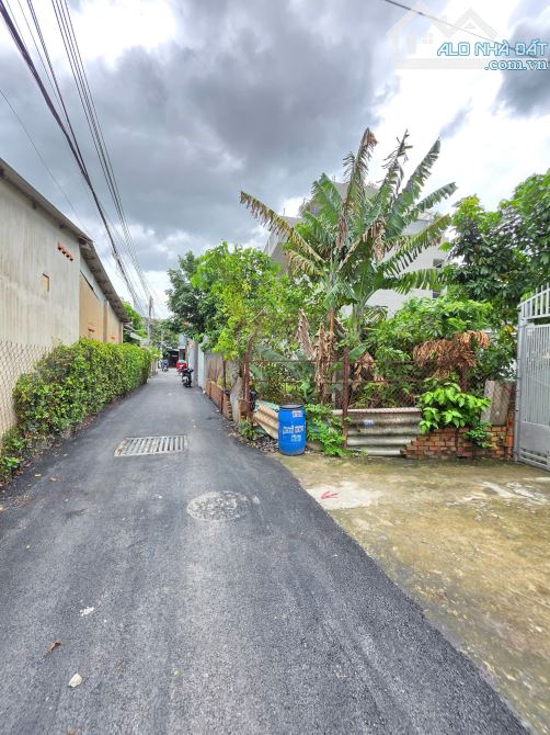 Bán đất rẻ 2,9 Tỷ gần chợ Dĩ An 1 chỉ 500m, p.Dĩ An, Tp.Dĩ An M7080 - 4