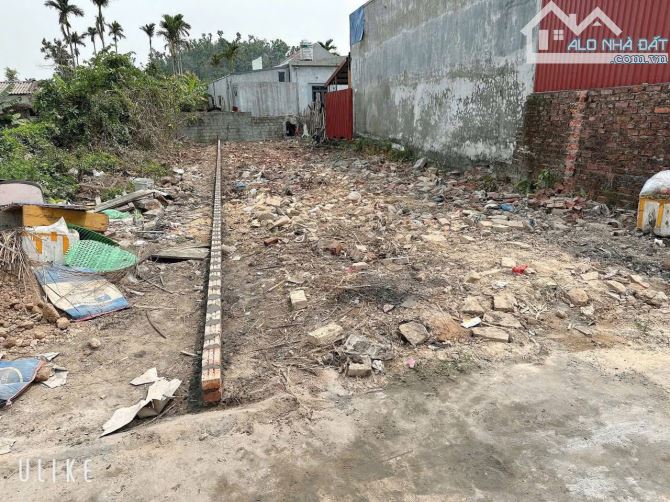 133m2 Xuân La, Thanh Sơn, Kiến Thụy vị trí đẹp - 4