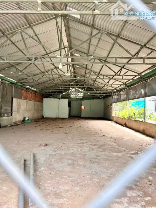 LÔ ĐẤT 403,5m² NGAY CỔNG SAU POUSUNG – XÃ TÂY HOÀ CŨ (HƯNG THỊNH MỚI) - 4