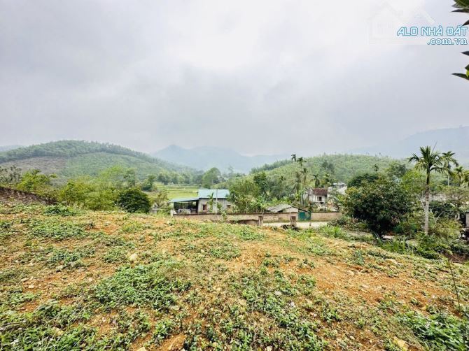 1237M2 ( 5,5 TRIỆU/M2 ) ĐẤT VIEW CÁNH ĐỒNG GẦN ĐƯỜNG CAO TỐC - 4