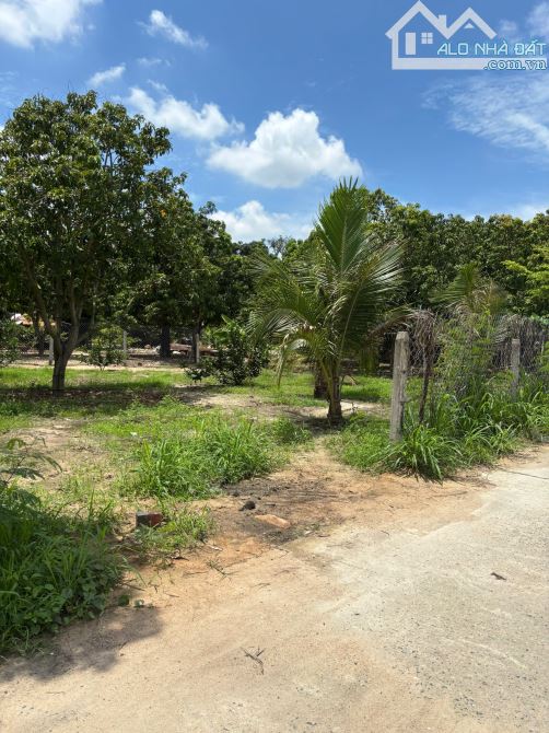 🔥 Siêu hiếm: Lô đất 107m² mặt tiền 29m trục chính Vin Cam Lâm – Giá chỉ 1,13 tỷ 🚀 - 4