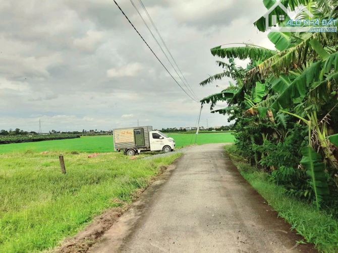 Hàng thơm, 127m2 đất thổ cư đường xe ô tô Kdc Nhựt Tảo, 499tr - 4