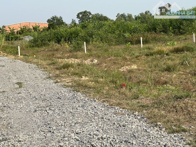 Thanh lý ngân hàng 311m2 thổ cư, không cần xuống tiền, Hỗ trợ trả dần lâu dài - 4