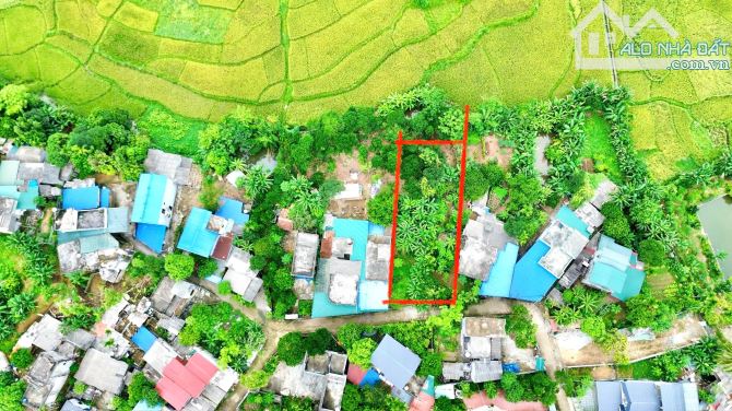 259m Có 200m Đất Ở - Trung Tâm Suối Khoáng Nóng Kim Bôi - Cách Hoa Viên 300m - 4