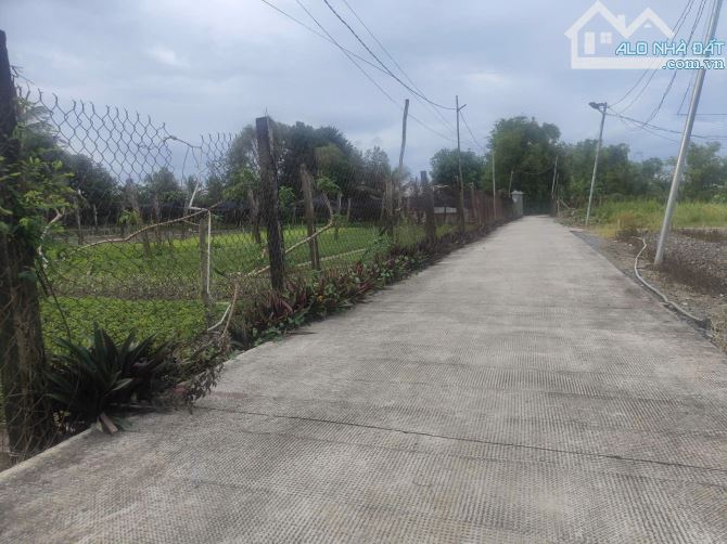 Phước Hậu Cần Giuộc 500m đất vườn phủ hồng  đường xe hơi tới đất chỉ 1tỷ3 - 11