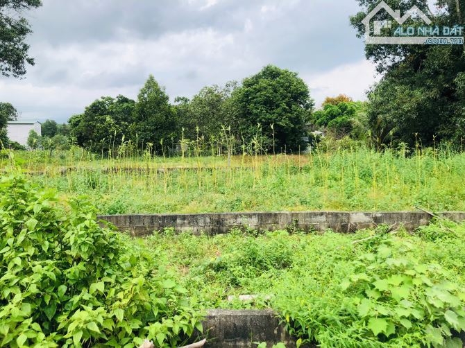 BÁN 7,6x35m (285,2m2) 150m2 thổ cư Thôn Đá Mài 1 Tân Xuân  Gía Siêu rẻ: 550 triệu - 5