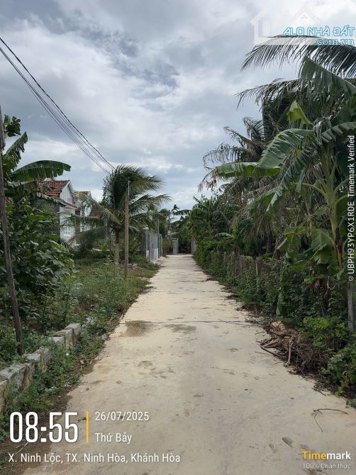 CHỦ GỞI BÁN HAI LÔ ĐẤT NINH LỘC NINH HOÀ - 5