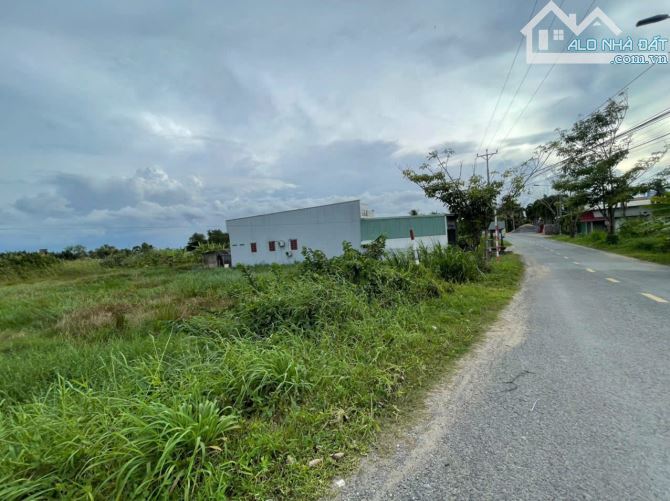 2100m2 đất lúa mặt tiền đường nhựa Rạch Tre xã An Thạnh, Bến Lức, Long An giá 13,7 tỷ - 5