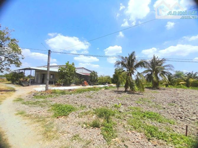 Hàng ngộp, nhà vườn 1300m2 đất đường ô tô cực đẹp, 1.2 tỷ - 5