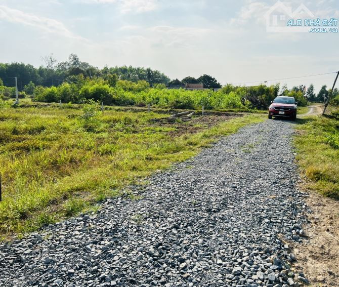 Thanh lý ngân hàng 311m2 thổ cư, không cần xuống tiền, Hỗ trợ trả dần lâu dài - 5