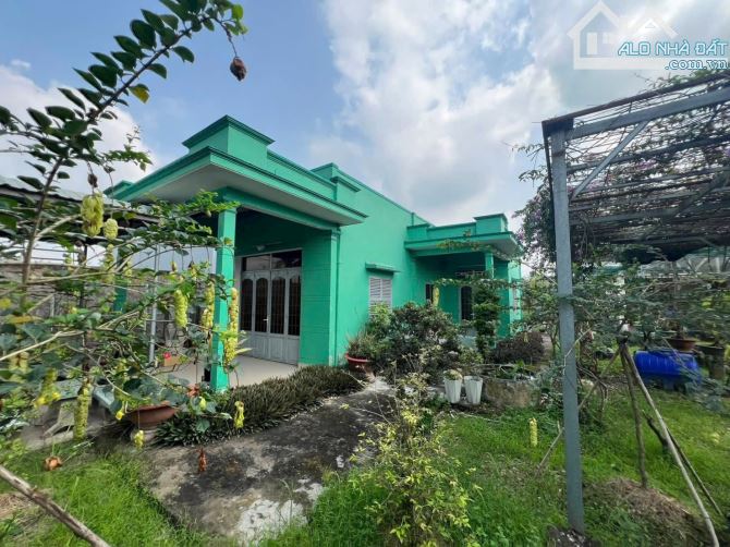 biệt thự mặt tiền DT826, xã Mỹ Lệ, Cần Đước  3000m2 có thổ cư - 6