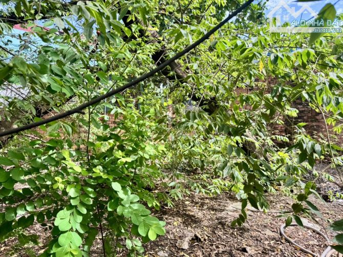 👉BÁN 🏠MTKD 240m(5x37m) SỔ ĐẸP- ĐƯỜNG 8m-GIÁ: 6.8 TỶ - THỊ TRẤN HM. - 6