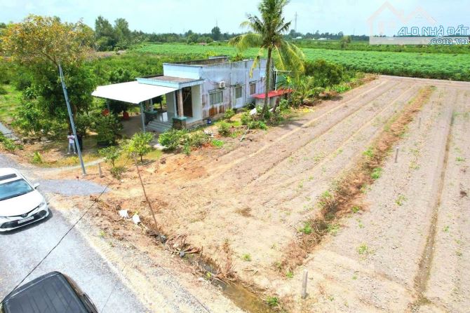 Hàng thơm, 1000m2 đất vườn chuyển thổ chỉ 1.65 tỷ - 6