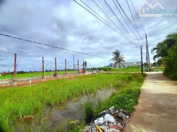 Hàng thơm, 127m2 đất thổ cư đường xe ô tô Kdc Nhựt Tảo, 499tr - 6