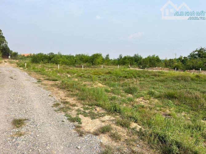 Thanh lý ngân hàng 311m2 thổ cư, không cần xuống tiền, Hỗ trợ trả dần lâu dài - 6