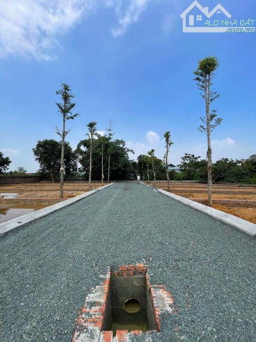 Cạnh Khu công Nghệ Cao Hoà Lạc Dân Cư Hiện Hữu Rất Nhiều Công Nhân DT:110m2 Hai Thoáng - 7