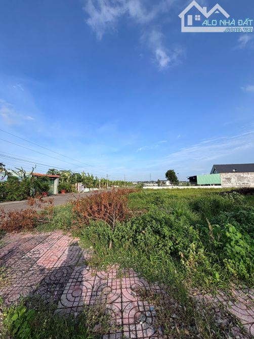 🌟 BÁN ĐẤT CHÍNH CHỦ – HOÀ LÒNG, TP.HCM 🌟 - 7
