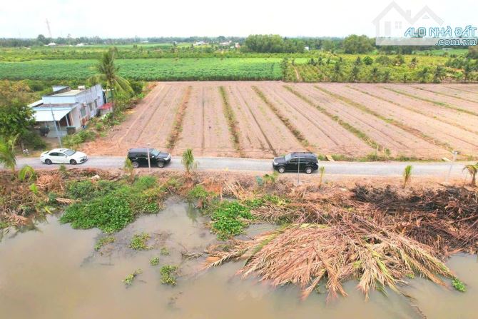Hàng thơm, 1000m2 đất vườn chuyển thổ chỉ 1.65 tỷ - 7