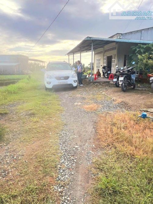 Hàng ngộp, nhà vườn 1300m2 đất đường ô tô cực đẹp, 1.2 tỷ - 7