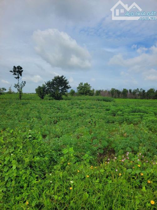 LÔ ĐẤT CỰC ĐẸP MẶT TIỀN DT992 NGHĨA THÀNH-TPHCM, THỔ CƯ, CÁCH CAO TỐC CHỈ 6KM - 7