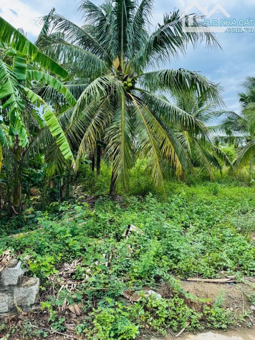 CHỦ GỞI BÁN HAI LÔ ĐẤT NINH LỘC NINH HOÀ - 8