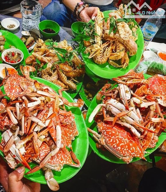 🌊 VÍP, ĐẸP, RẺ NHẤT! LÔ GÓC ĐƯỜNG BIỂN 25M, 500M², NGANG 16M, SỞ HỮU LÂU DÀI, CHỈ 65 TỶ - 8
