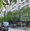 Nhà mới 7 tầng thang máy phố Khúc Thừa Dụ-Cầu Giấy ôtô tránh, 59m2 MT 4,5m chưa tới 20tỉ