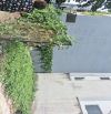 Bán đất hẻm 1942 Huỳnh Tấn Phát, TT. Nhà Bè Nhà Bè. 50m2