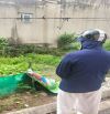 Đất Xuân Thụy- Kiêu Kỵ -55m Vuông Vắn- Ở Đầu Tư -Khuôn Tiền - Dễ Thanh khoản