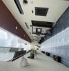 Bán  CHDV quận 7, Lê Văn Lương, 300m2=9mx35m, thu 80T/tháng, 22 tỷ