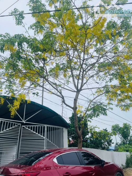 Cần bán lô đất - nhà KINH DOANH THẢ GA. ĐƯỜNG TRỤC CHÍNH