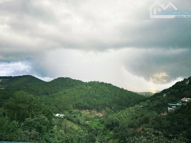 ĐẤT MẶT TIỀN HOÀNG HOA THÁM 540M2 NGANG 20M VIEW THUNG LŨNG RỪNG THÔNG