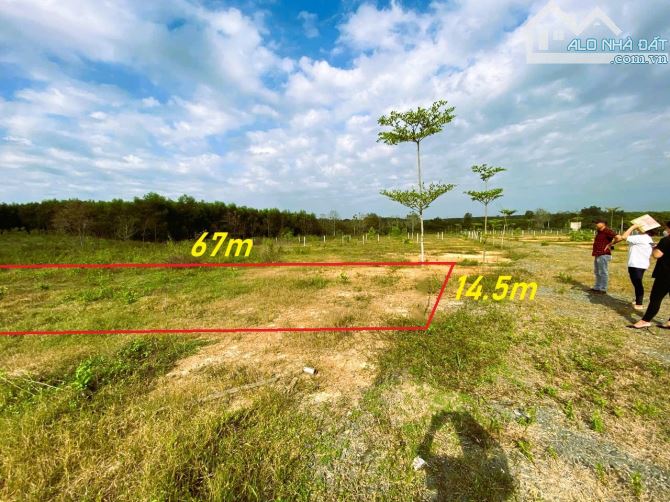 TÌM ĐÂU RA LÔ ĐẤT VƯỜN KẾ BÊN NHÀ MÁY THĂNG LONG XANH 1000m2 (14.5mx67m) CHỈ 395 TRIỆU