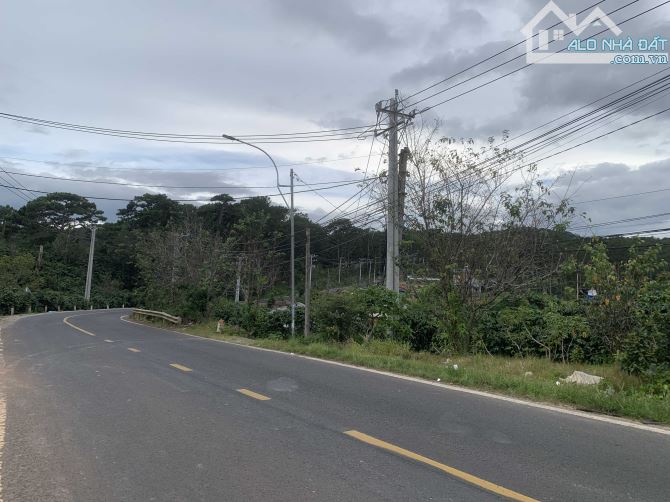 Bán Lô Đất Mặt Tiền Quốc Lộ 20 – Xuân Thọ, Tp. Đà Lạt – Vị Trí Đẹp, Tiềm Năng Kinh Doanh