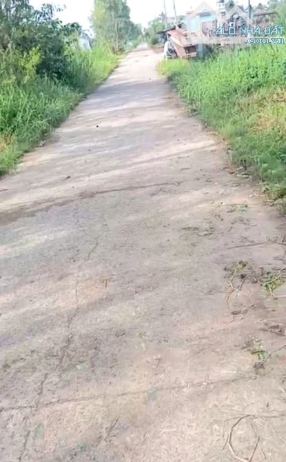 B.á.n 6,2 công đất nền, mặt tiền ôtô, gần biển Tân Thành -  Gò Công Đông, TG cũ