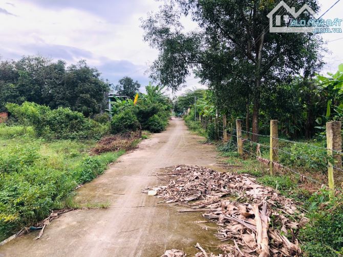 Đất Xào Thổ Cư dt: 20x45m (1075m2) Ngay QL55 Tân Hà Hàm Tân Gía siêu rẻ: 1 tỷ 100 triệu