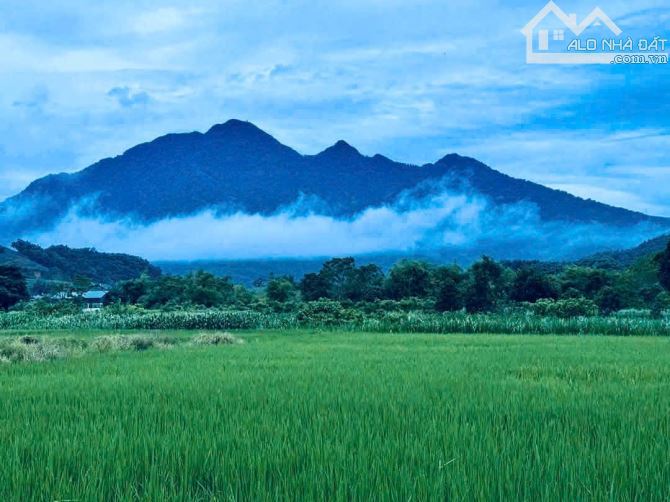 Bán gấp 1010m đất đẹp xã Yên Bài, gần TL 87, Làng Văn Hóa oto, nở hậu, đg thông, 6.6tỷ