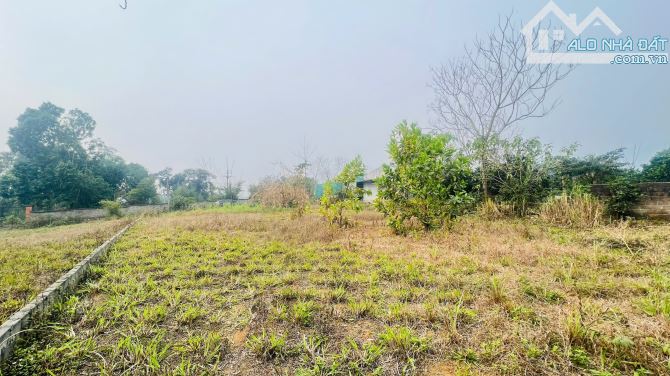 CHÍNH CHỦ BÁN ĐẤT HÒA SƠN, LƯƠNG SƠN HÒA BÌNH 1200M² MẶT TIỀN LỚN