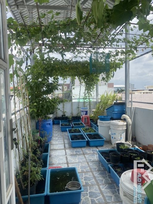 Nhà Nguyễn Văn Cừ, Phạm Thế Hiển, Cầu chữ Y
