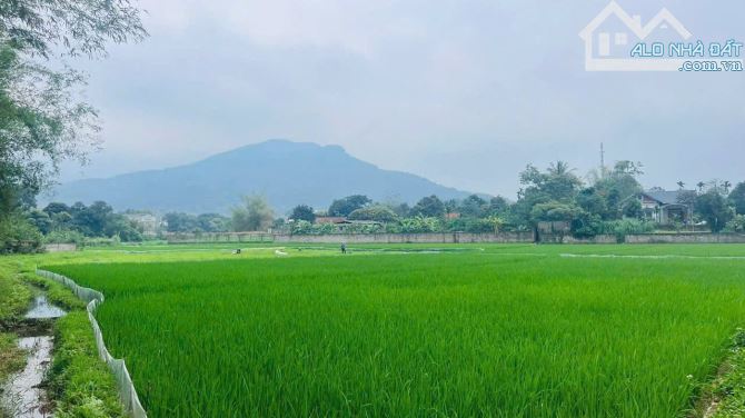 Chỉ 3.15tỷ có 667m2 đất Tản Lĩnh, Ba Vì, gần Hồ Suối Hai, Yên Bài, Ao Vua, oto, nở hậu
