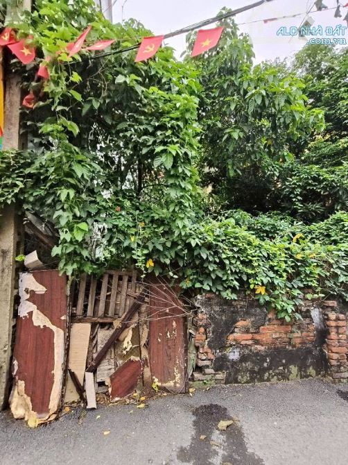 Bán đất thúy lĩnh 115M ô tô tránh vào đất hoàng mai